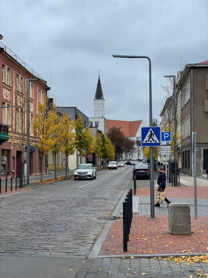 Šiauliai Jaukus Apartamentai Miesto Centre 아파트 외부 사진
