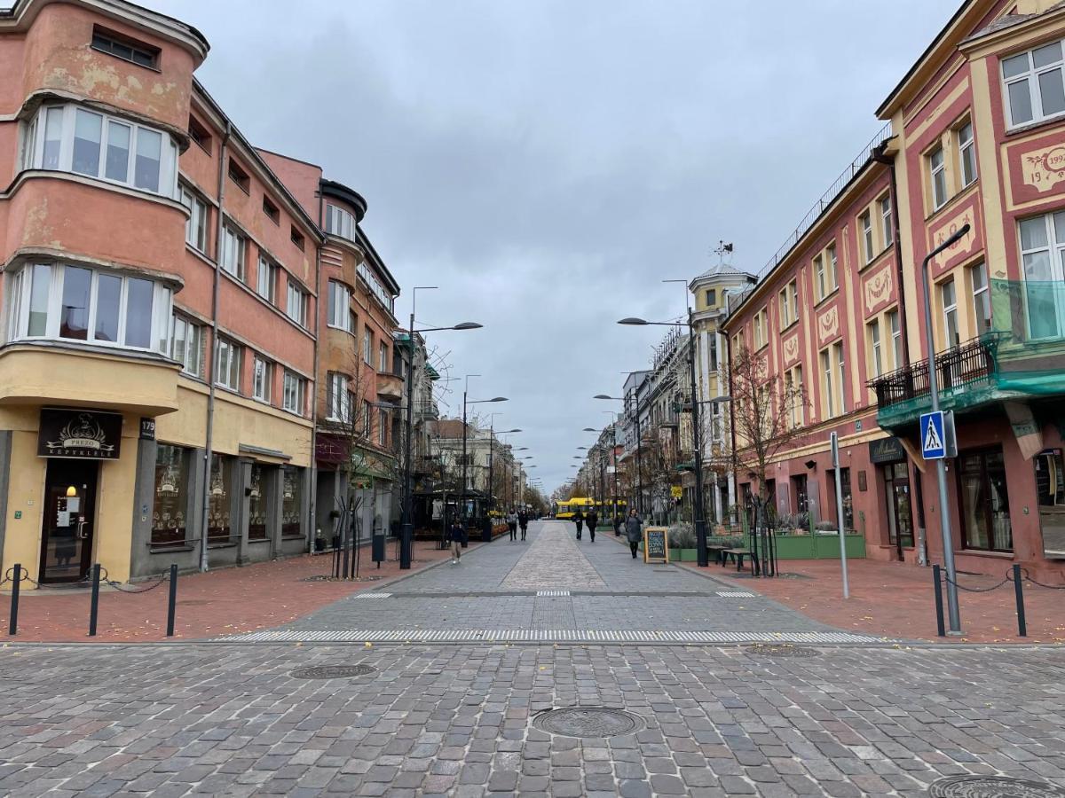 Šiauliai Jaukus Apartamentai Miesto Centre 아파트 외부 사진